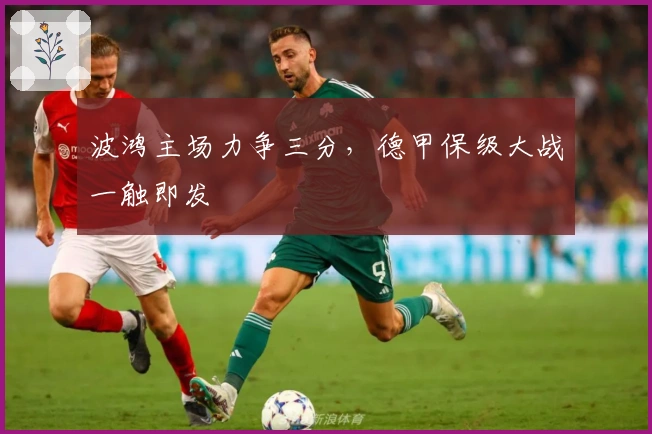 波鸿主场力争三分，德甲保级大战一触即发