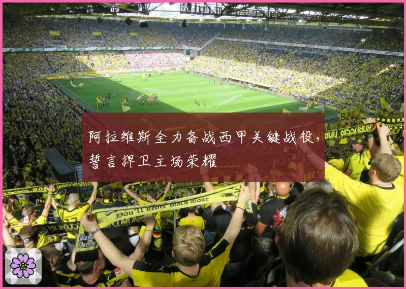 阿拉维斯全力备战西甲关键战役，誓言捍卫主场荣耀